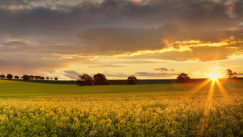 riverina
