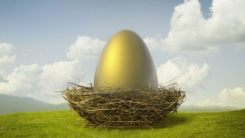 Nest egg