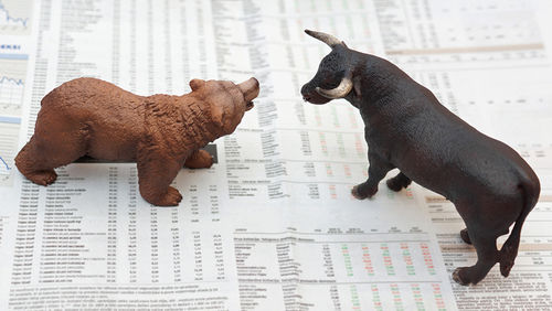 bull and bear market