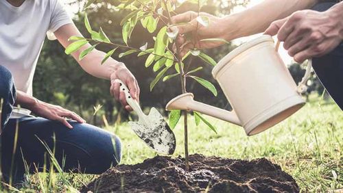 life cycle investment funds
