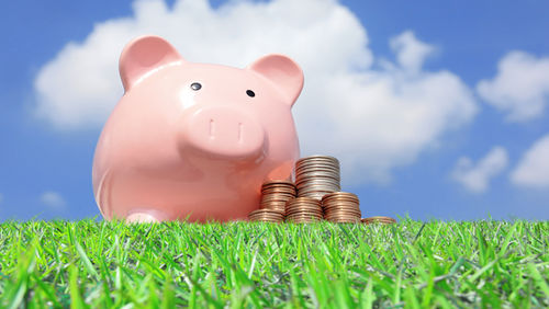 earn extra cash