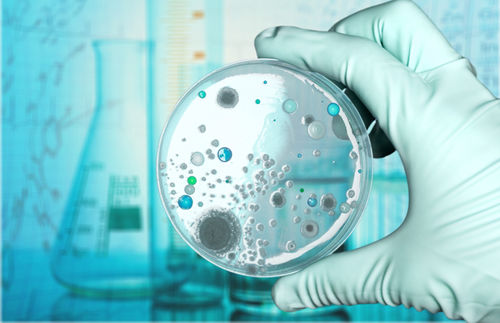 biotech