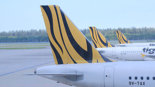 tiger air airline preselection