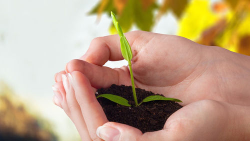Feature Image