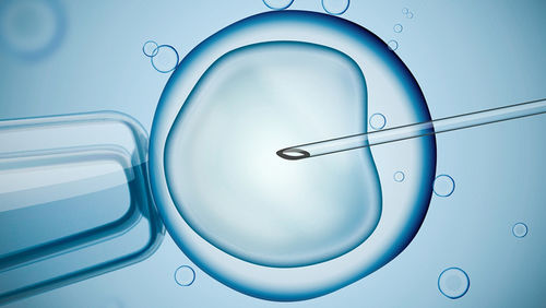 ivf