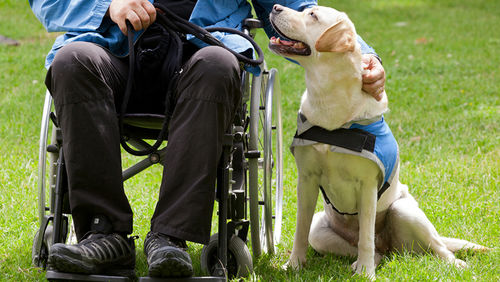 ndis national disability insurance scheme funding speech therapist