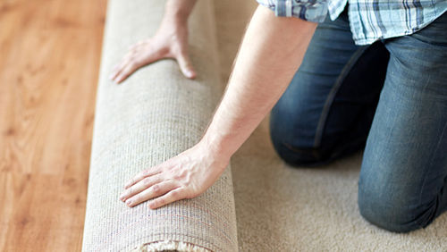 renovating decorating carpet rug buying selling renting rental rent