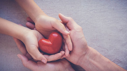charitable trusts philanthropy Sub-fund within a Public Ancillary Fund Private Ancillary Fund Testamentary Trust