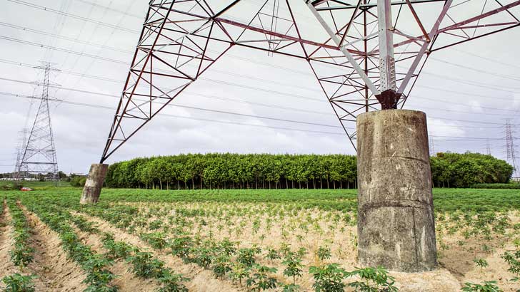 aep American Electric Power Company nyse shares