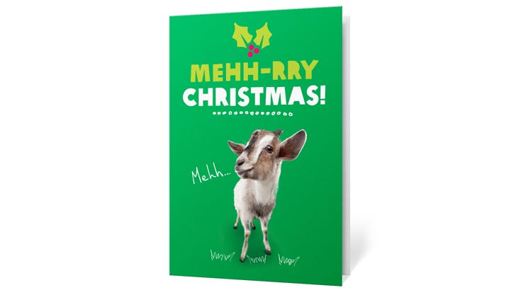 oxfam goat christmas charity