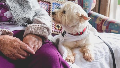renting in retirement