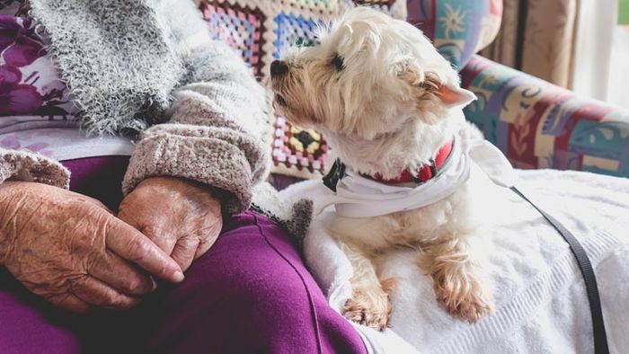 renting in retirement