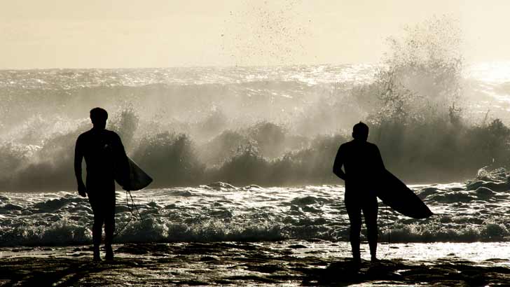 win a surfer's guide to property investing