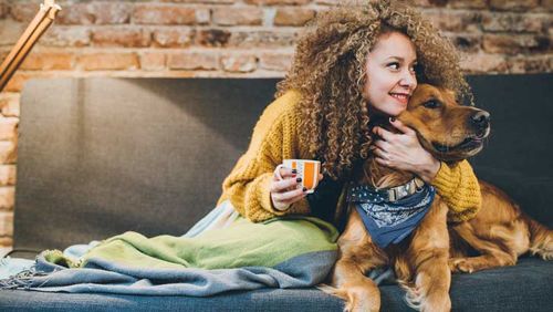 rental rights tenant rights