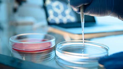 avita medical avh stock shares asx