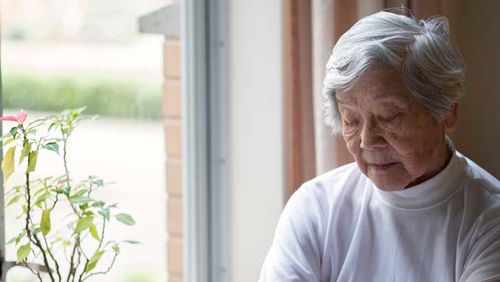 pension loans scheme expanded