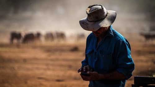 Australian-farmer-Richard-Gillham-checks-his-phone-for-weather-updates-after-feeding-his-sheep-in-a-drought-affected-paddock-on-his-property-Barbers-Lagoon.jpg
