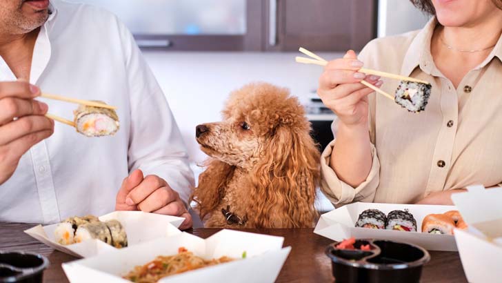 Meituan-Dianping-meals.jpg