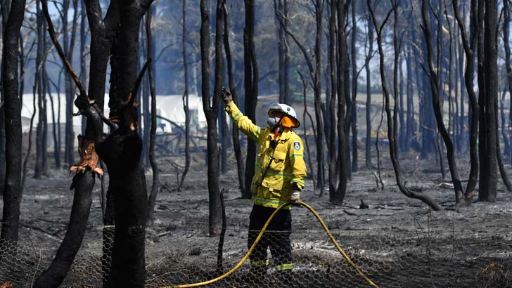 A NSW Rural Fire Service firefighter mops up after a bushfire in the suburb of Llandilo on November 12, 2019 in Sydney, Australia. More than 50 fires are burning across NSW with 200 homes and sheds destroyed and three people confirmed dead. Catastrophic f
