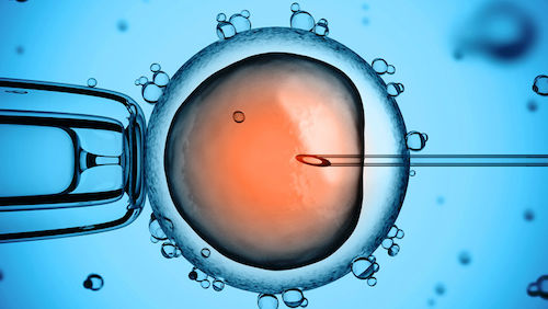 can a child born from a sperm donor or through artificial insemination be left out of a will