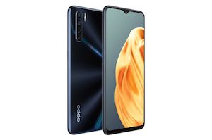 oppo a91 for seniors