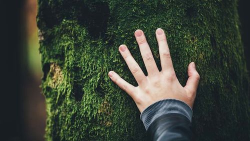 coronavirus esg super funds returns