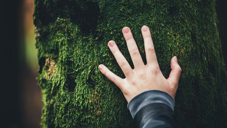 coronavirus esg super funds returns