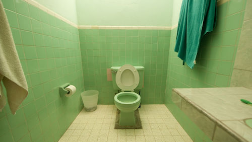 ugly bathroom earn money from home