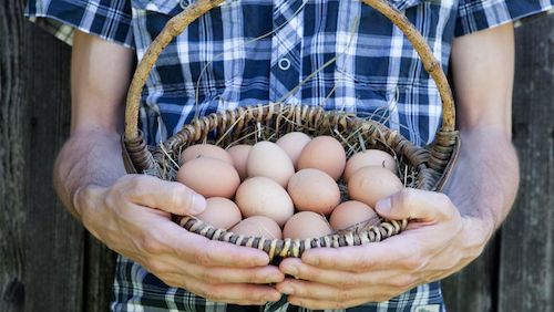 what does overdiversification overdiversify mean