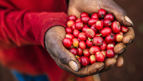 how to save money by wasting less food