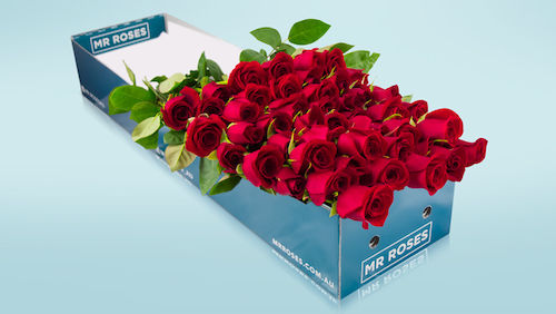 win 12 long stemmed roses mr roses