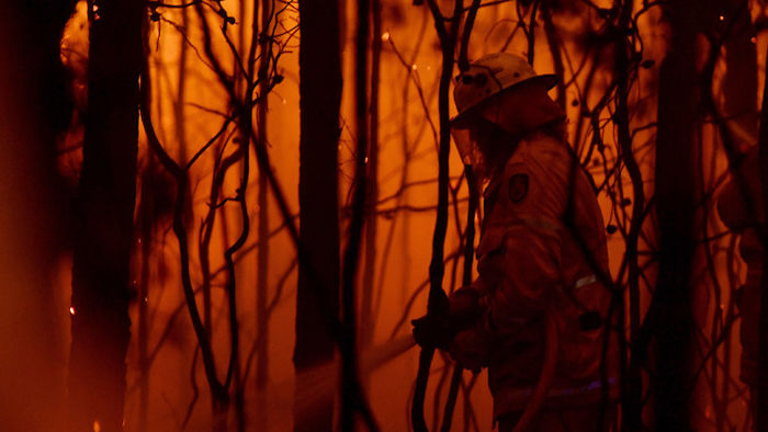 bushfire crisis changed the way we invest