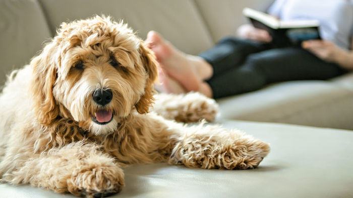 how we saved 160000 house sitting