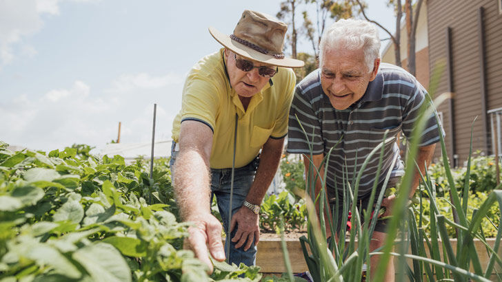 how to qualify for the pension