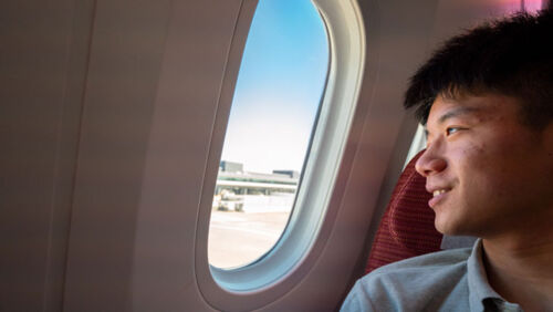 the website that helps you find super cheap flights