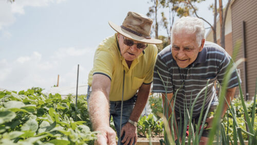being too conservative run out of money in retirement