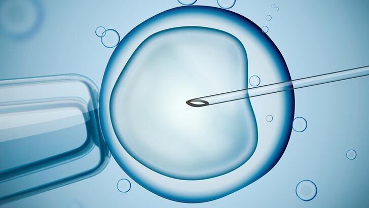how much does ivf cost