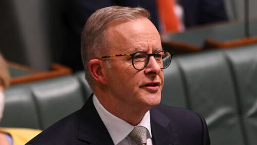 anthony albanese labor reply