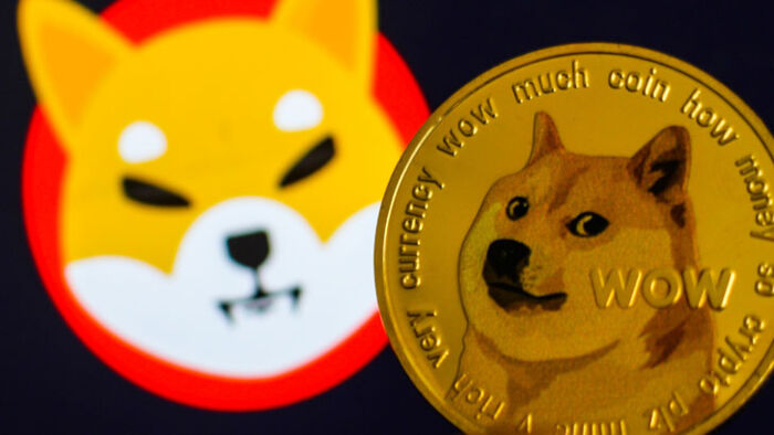 dogecoin v shiba inu cryptocoins
