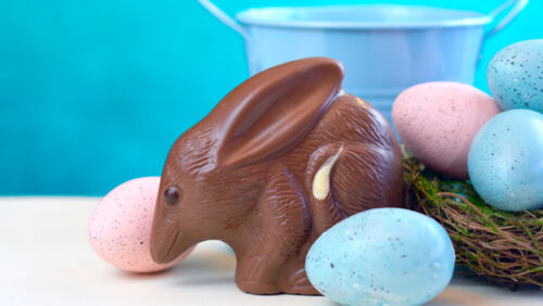 where to buy chocolate bilby easter bilbies