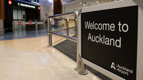 auckland international airport shares