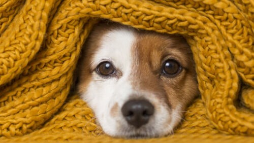 how to save money on heating in winter