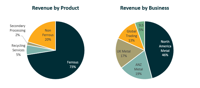sims revenue by product and business