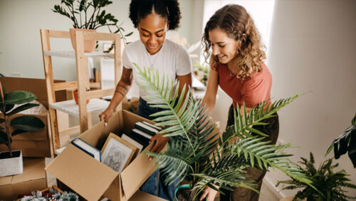 cooler spring property market