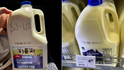 the price of milk how to save on groceries