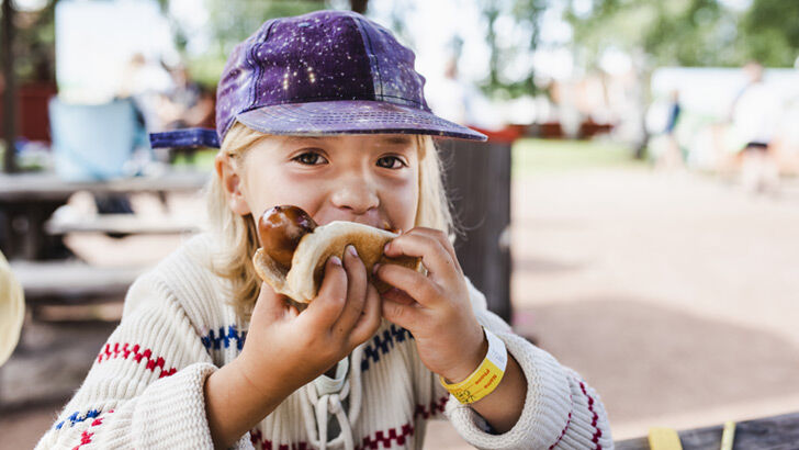 sausage sizzle index