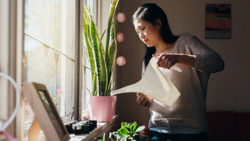the singles tax why it's more expensive to be single