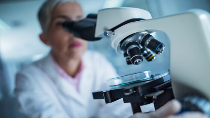 sonic healthcare shares