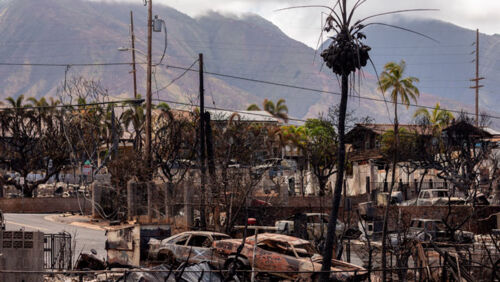 maui wildfires travel insurance