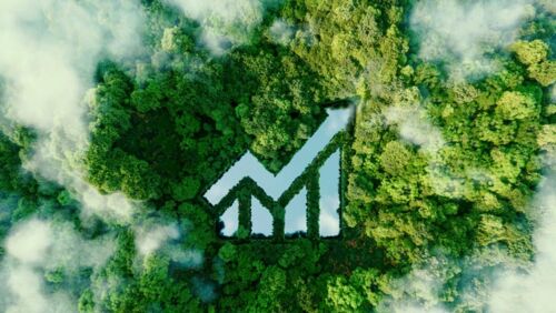 how do you know if companies are performing on esg